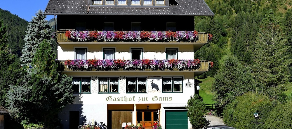 Gasthof Pension Appartements Zur Gams, Donnersbachwald — photo 1