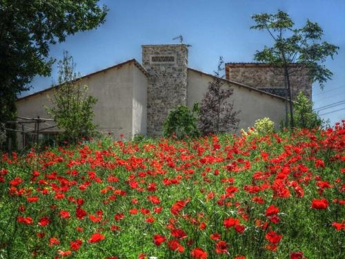 Agriturismo Cignale, Пенне — фото 1
