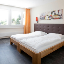 Rigi Kaltbad Swiss Quality Hotel, 韦吉斯 — 照片 3