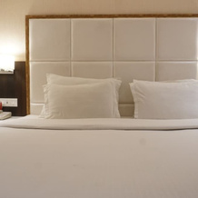 Palette Four Seasons Recreation Resort, Jalgaon — photo 4