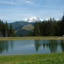 Chalet Le Starfu, Крест-Волан — фото 2
