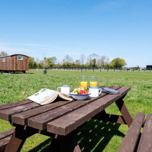 Honeysuckle Farm Hut 5 - Suffolk Farm Holidays, Бедфилд — фото 4