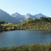 Alp-Chalet, 博尔斯特尔朗 — 照片 5