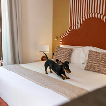 Cavalta Boutique Hotel – Small Luxury Hotel, Sevilla — photo 4