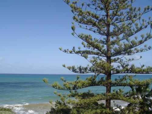 Pineta Sul Mare BB, 波利纳 — 照片 1