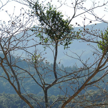 Pousada R.N.C. Nosso Paraíso, Areal — photo 3