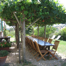 Podere Santa Teresa, 斯坎扎诺 — 照片 3