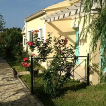 Flower Villas, Agios Georgios — photo 5