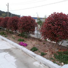 Pohang Wolpo Seagulls Pension, Pohang — photo 3