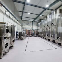 Weingut & Ferienwohnungen Müller-Kern, 葡萄酒之路上的诺伊施塔特 — 照片 4