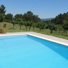 Quinta Dos Sobreiros, Pedrogao Grande — photo 3