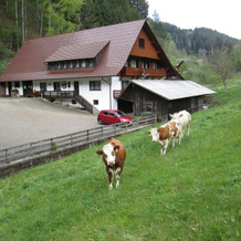 Hinterkimmighof-2, 上哈默斯巴赫 — 照片 3