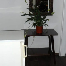 Apartments Jurašić, 约瑟普多尔 — 照片 5