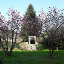 Maison et Table D'hôtes La Billebaude, 圣佩德比戈尔 — 照片 4