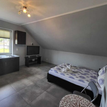 Comfortable Premium Class Apartment, Shared Swimming Pool, Gaski, Гонски — фото 2