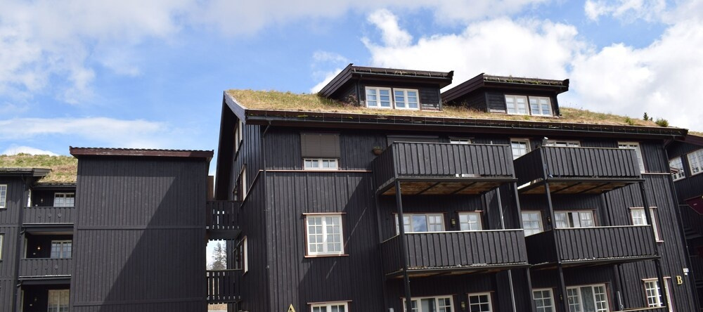 Skeikampen Booking, Skei — photo 1
