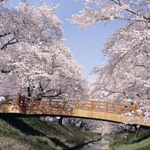 Kaze No Tani No Iori, Гамагори — фото 4