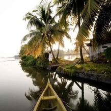 Kayal Island Retreat, Cherthala — фото 4