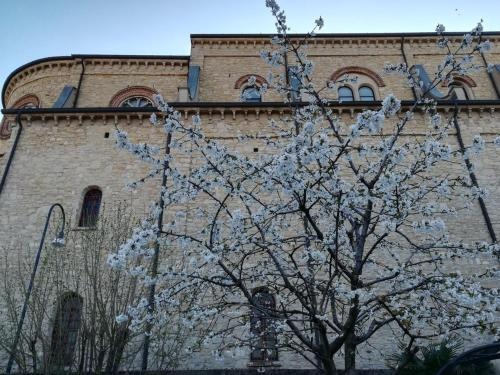B&B Airport Bergamo, 莫佐 — 照片 1