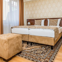 Wellness Hotel Pivovar Monopol, Теплице — фото 2