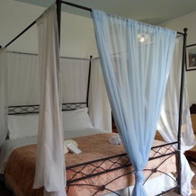 Agriturismo l'Angelina, 阿尔丰西内 — 照片 5