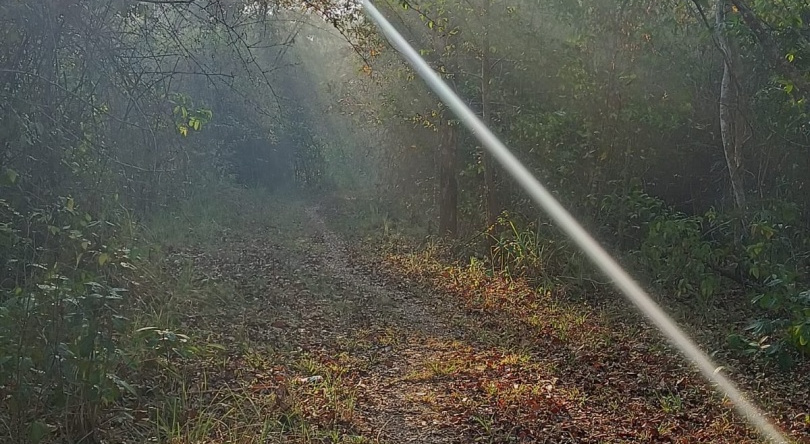 Arippa Eco Tourism-Stay Inside Forest, Punalur — photo 1