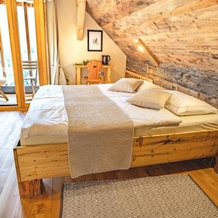 Tourist Farm Šenkova Domačija, 兹戈尔涅耶泽尔斯科 — 照片 3