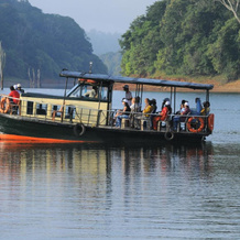 Spice Inn Thekkady, Анаккара — фото 4