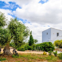 Masseria Montefieno, Конверсано — фото 2