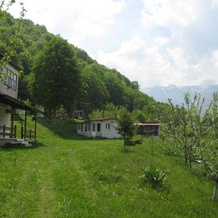 Bungalows Zdravets, Берковица — фото 2