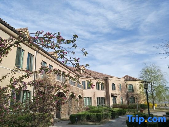 Shahu Resort Hotel, Шицзуйшань — фото 1