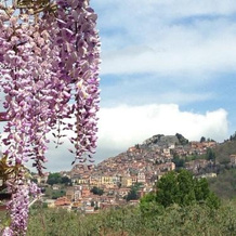 Casa Vacanze Maria Grazia, 罗卡迪帕帕 — 照片 5