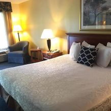 Holiday Inn Gettysburg (Battlefield), Геттисберг — фото 4