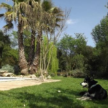 Casa Rural Mas Martís, Serinya — photo 4