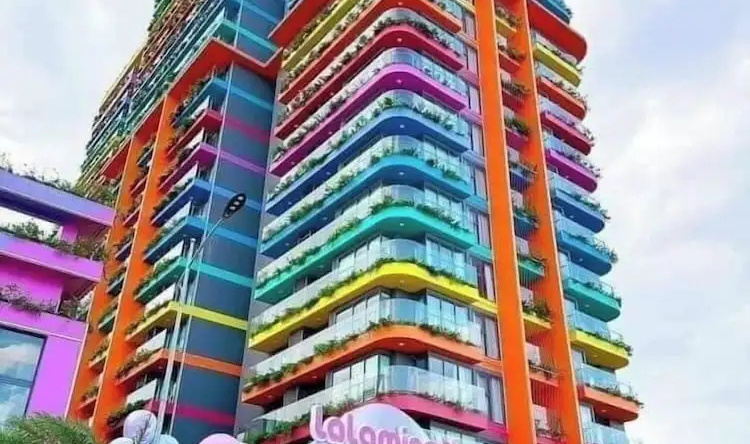Flamingo Hai Tien, 黄化 — 照片 1