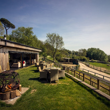 Treehouse Hotel - At Port Lympne Reserve, 希思 — 照片 4