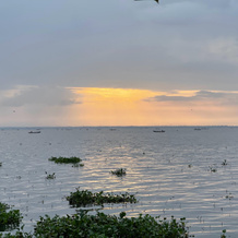 Amal Tamara, Alleppey — photo 5