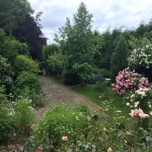 Le jardin d'Anita B&B, 埃库谢莱瓦莱 — 照片 5