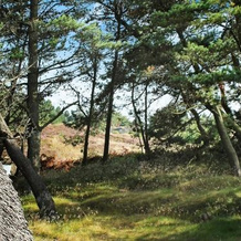 Three-Bedroom Holiday home in Rømø 15, 勒姆岛 — 照片 4