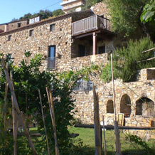 Il Mandorlo, Montecorice — photo 4