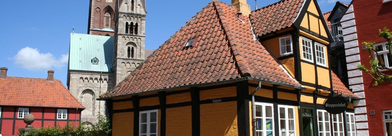 Ribe Byferie Resort, Ribe — photo 1