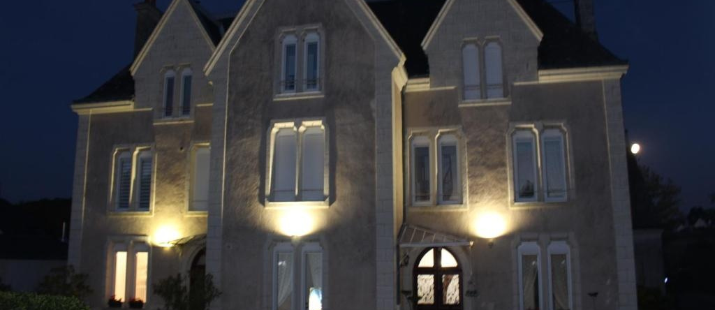 Manoir des Bertinières, Cravant-les-Coteaux — photo 1