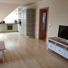 Apartment Burgstraße, Pirna — photo 5