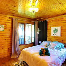 House With 3 Bedrooms in La Plaine des Palmistes, With Wonderful Mount, 拉普莱讷-德帕尔米斯特 — 照片 3