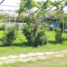 V Kingi Guest House, 奥恰姆奇拉 — 照片 3