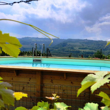 Madama Langa Country House con piscina nelle vigne, 蒙特卢波阿尔贝塞 — 照片 4