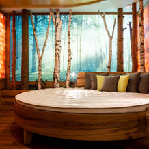 Spirit & Spa Hotel Birkenhof Am Elfenhain, Графенвизен — фото 3