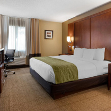 Comfort Inn Romeoville - Bolingbrook, Ромеовилль — фото 5