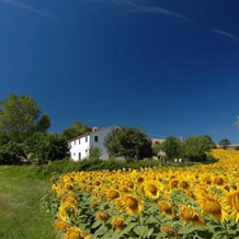 Bed & Breakfast Casa Dei Colli, Мерго — фото 5