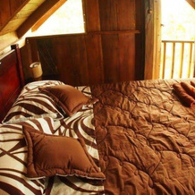 Urcu de Mindo Lodge, Tandayapa — photo 3